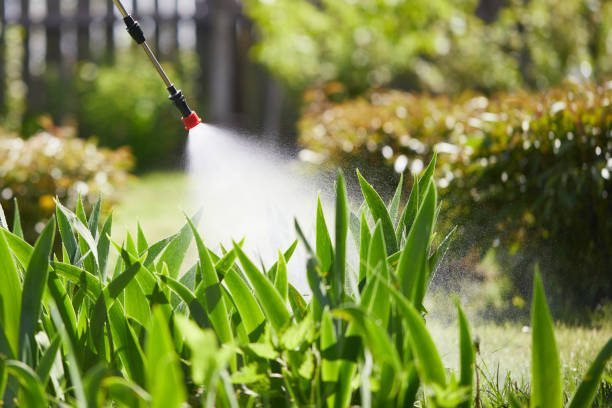 24/7 Emergency Ant Control experts in Morganfield, KY